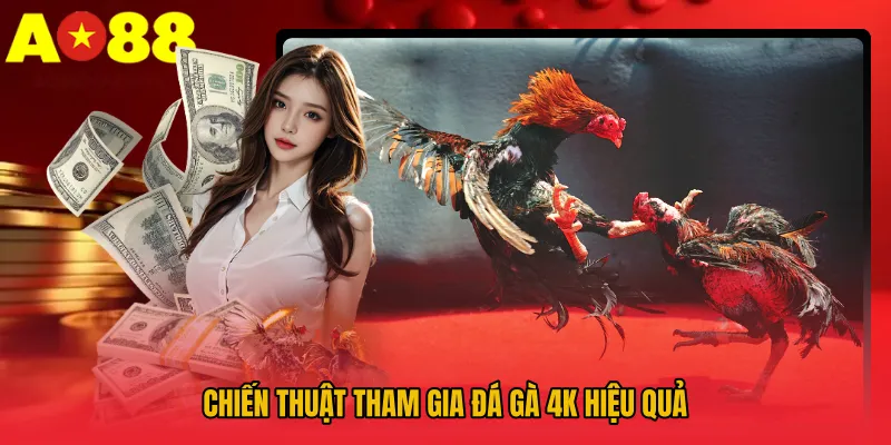 Chiến thuật tham gia đá gà 4K hiệu quả