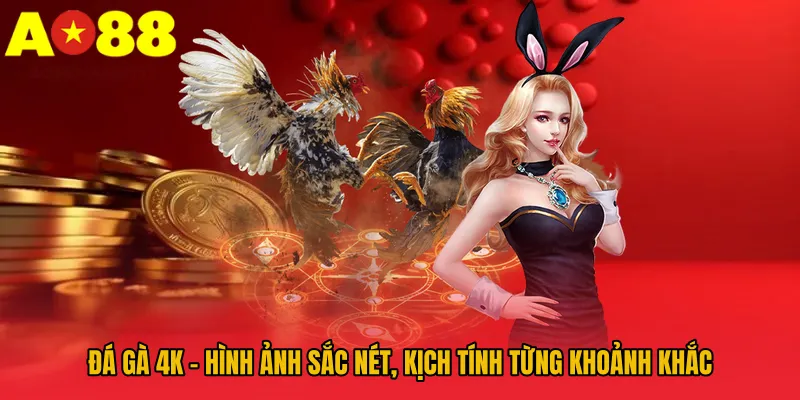 Đá Gà 4k – Hình Ảnh Sắc Nét, Kịch Tính Từng Khoảnh Khắc
