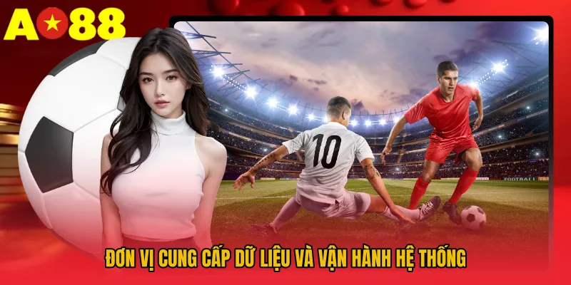 Đơn vị cung cấp dữ liệu và vận hành hệ thống