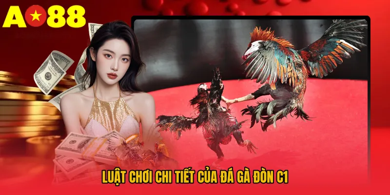 Luật chơi chi tiết của Đá gà đòn C1